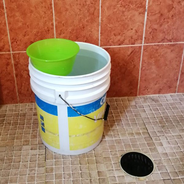 Regadera barata ESP